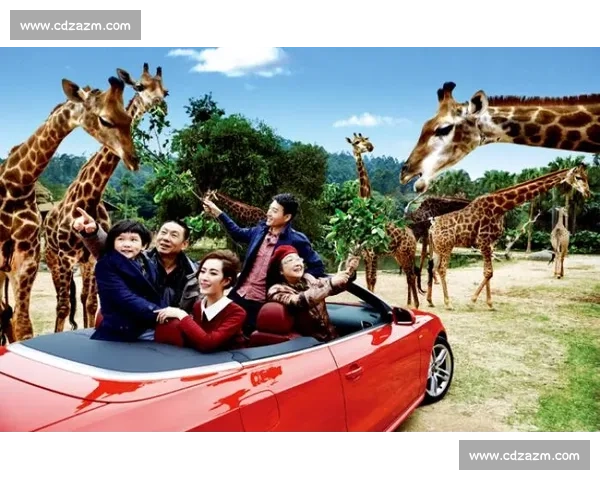 苏南童车江湖：“小恐龙” 如何在巨头阴影下撕开一道光？