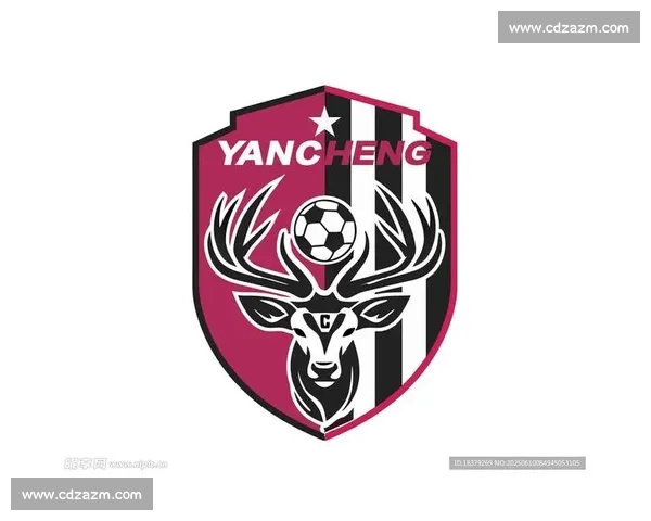 苏超队徽商标抢注频发：构建赛事 IP 防护网刻不容缓